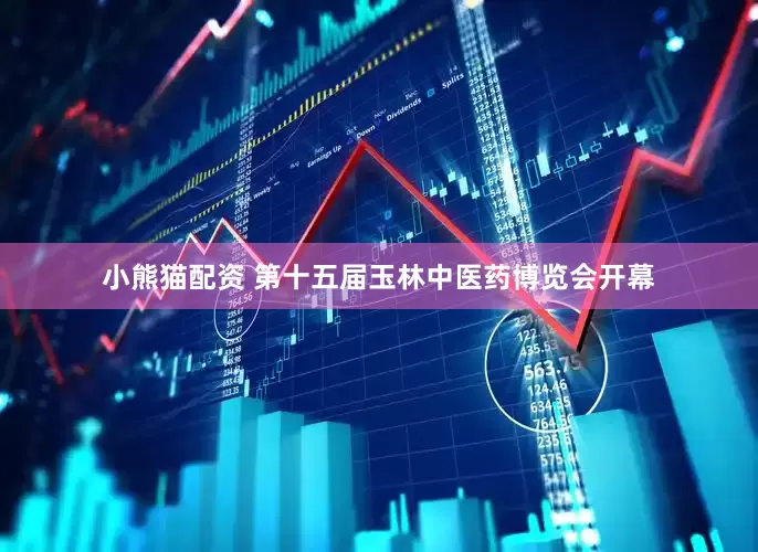 小熊猫配资 第十五届玉林中医药博览会开幕