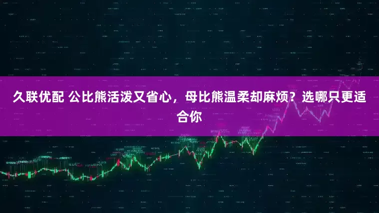久联优配 公比熊活泼又省心，母比熊温柔却麻烦？选哪只更适合你