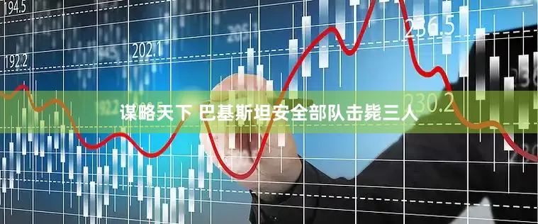 谋略天下 巴基斯坦安全部队击毙三人