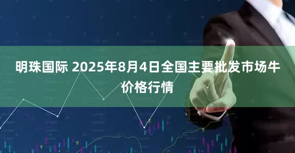 明珠国际 2025年8月4日全国主要批发市场牛价格行情