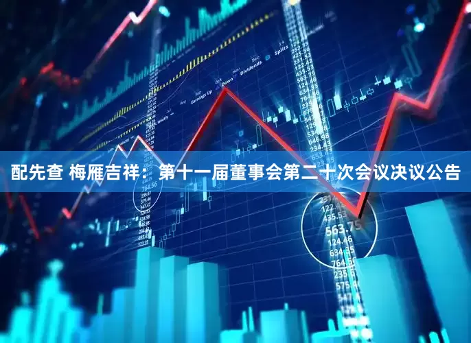 配先查 梅雁吉祥：第十一届董事会第二十次会议决议公告