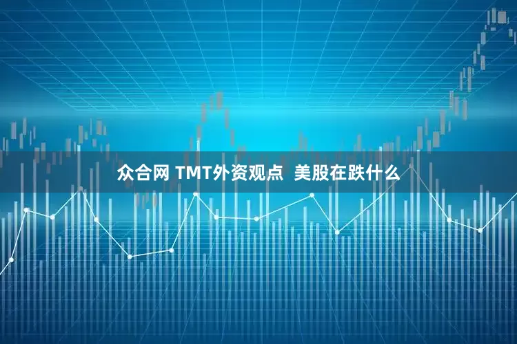 众合网 TMT外资观点  美股在跌什么